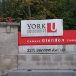York university