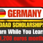 German Scholarships in Nigeria 2025